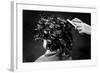 Hair Curling Clips-null-Framed Photographic Print