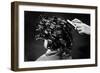 Hair Curling Clips-null-Framed Photographic Print