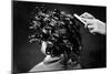 Hair Curling Clips-null-Mounted Photographic Print