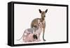 Hairless Animals Mexican Hairless Dog, Sphinx-null-Framed Stretched Canvas