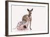 Hairless Animals Mexican Hairless Dog, Sphinx-null-Framed Photographic Print