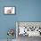 Hairless Animals Sphinx Cat, Guinea Pig and Rat-null-Framed Stretched Canvas displayed on a wall