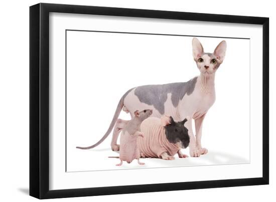 Premium Photographic Print, , large