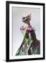 Hairless sphinx cat wearing pearls poses for a portrait-James White-Framed Photographic Print