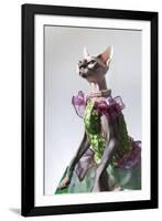 Hairless sphinx cat wearing pearls poses for a portrait-James White-Framed Photographic Print