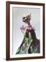 Hairless sphinx cat wearing pearls poses for a portrait-James White-Framed Photographic Print