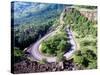 Hairpin Curve, Columbia River Highway, Oregon, USA-William Sutton-Stretched Canvas