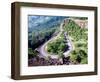 Hairpin Curve, Columbia River Highway, Oregon, USA-William Sutton-Framed Photographic Print