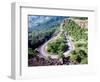 Hairpin Curve, Columbia River Highway, Oregon, USA-William Sutton-Framed Photographic Print