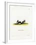 Hairy Slit-Faced Bat-null-Framed Giclee Print