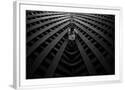 Chelsea White
