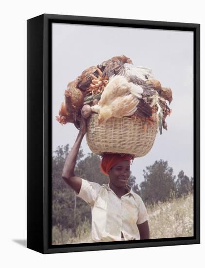 Haitian Woman Carrying Large Basket with Her Market Shopping on Her Head-Lynn Pelham-Framed Stretched Canvas