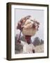 Haitian Woman Carrying Large Basket with Her Market Shopping on Her Head-Lynn Pelham-Framed Photographic Print