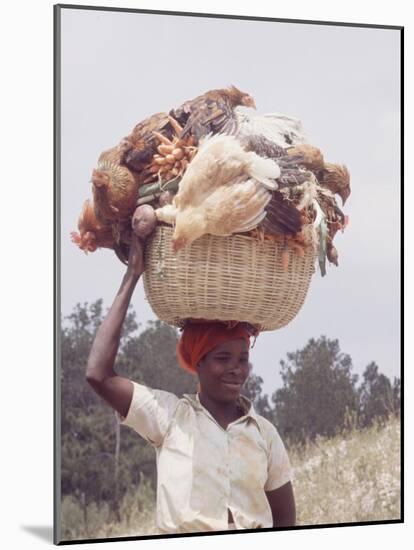 Haitian Woman Carrying Large Basket with Her Market Shopping on Her Head-Lynn Pelham-Mounted Photographic Print