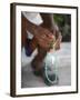 Haitian Woman Praying With Prayer Beads, Port Au Prince, Haiti, West Indies, Central America-null-Framed Photographic Print