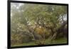 Hakalau Forest National Wildlife Refuge, Big Island, Hawaii-Stuart Westmorland-Framed Photographic Print