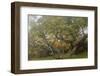 Hakalau Forest National Wildlife Refuge, Big Island, Hawaii-Stuart Westmorland-Framed Photographic Print