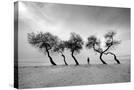 Stretched Canvas