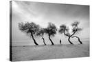 Stretched Canvas