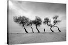 Stretched Canvas