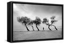 Canvas Black