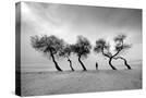 Stretched Canvas