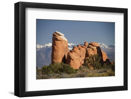 Premium Photographic Print, , large