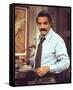 Hal Linden-null-Framed Stretched Canvas