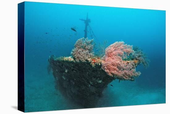 Halaveli Wreck and a Scuba Diver, Maldives.-Reinhard Dirscherl-Stretched Canvas