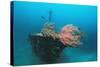 Halaveli Wreck and a Scuba Diver, Maldives.-Reinhard Dirscherl-Stretched Canvas