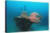 Halaveli Wreck and a Scuba Diver, Maldives.-Reinhard Dirscherl-Stretched Canvas