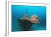 Halaveli Wreck and a Scuba Diver, Maldives.-Reinhard Dirscherl-Framed Photographic Print