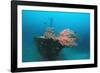 Halaveli Wreck and a Scuba Diver, Maldives.-Reinhard Dirscherl-Framed Photographic Print