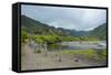 Halawa Stream in the Halawa Bay on the Island of Molokai, Hawaii, United States of America, Pacific-Michael Runkel-Framed Stretched Canvas