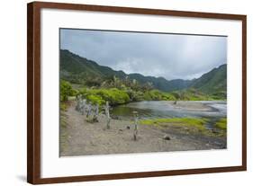 Halawa Stream in the Halawa Bay on the Island of Molokai, Hawaii, United States of America, Pacific-Michael Runkel-Framed Photographic Print