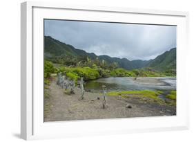 Halawa Stream in the Halawa Bay on the Island of Molokai, Hawaii, United States of America, Pacific-Michael Runkel-Framed Photographic Print