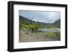 Halawa Stream in the Halawa Bay on the Island of Molokai, Hawaii, United States of America, Pacific-Michael Runkel-Framed Photographic Print