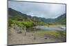 Halawa Stream in the Halawa Bay on the Island of Molokai, Hawaii, United States of America, Pacific-Michael Runkel-Mounted Photographic Print