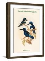 Halcyon Stictolaema - Spotted-Throated Kingfisher-John Gould-Framed Art Print