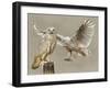 Halcyon-Barbara Keith-Framed Giclee Print