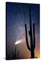 Hale Bop Comet-Douglas Taylor-Stretched Canvas
