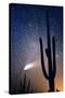 Hale Bop Comet-Douglas Taylor-Stretched Canvas