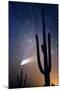 Hale Bop Comet-Douglas Taylor-Mounted Photographic Print