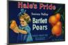 Hale's Pride Pear Crate Label - Suisun, CA-Lantern Press-Mounted Art Print