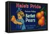 Hale's Pride Pear Crate Label - Suisun, CA-Lantern Press-Framed Stretched Canvas