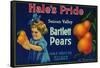 Hale's Pride Pear Crate Label - Suisun, CA-Lantern Press-Framed Stretched Canvas