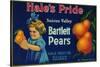 Hale's Pride Pear Crate Label - Suisun, CA-Lantern Press-Stretched Canvas