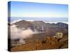 Haleakala Crater From Crater Rim and Silversword in Foreground Haleakala National Park, Maui, HI-Bernard Friel-Stretched Canvas