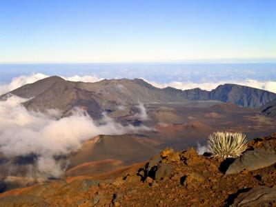 'Haleakala Crater From Crater Rim and Silversword in Foreground