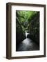 Halerbach - Haupeschbach, a Small Stream Flowing Past Moss Covered Rocks in Forest, Luxembourg-Tønning-Framed Photographic Print